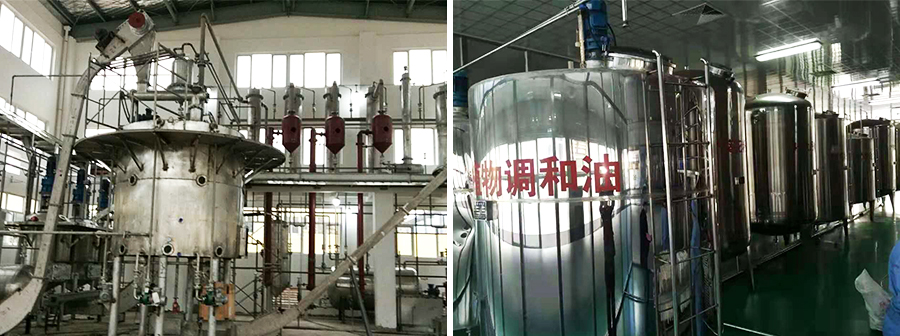 菜籽油精炼设备厂家