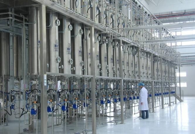 核桃油精炼设备